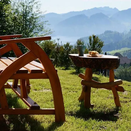Ferienhaus Borowikowe Zacisze Drewniane Z Dostepem Do Sauny